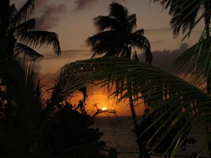 sun set view